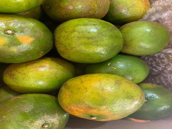 เมนูพิเศษ ส้มสายน้ำผึ้ง รับ 2/01/69